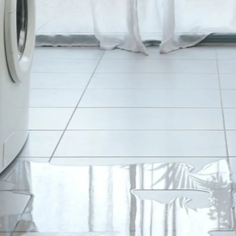 Appliance Leak Cleanup in Adrian, MO