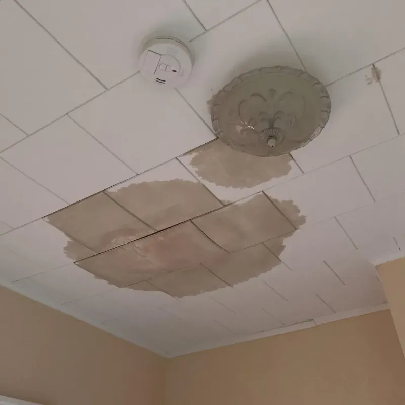 Ceiling Water Damage Repair in Adrian, MO