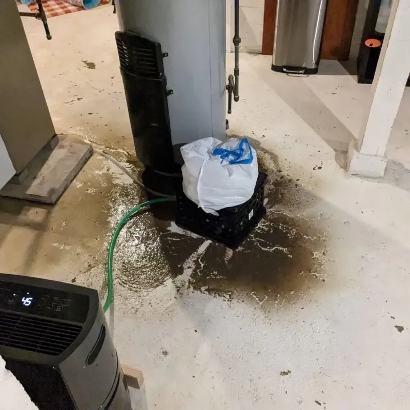 Sewage Backup Cleanup Service in Adrian, MO